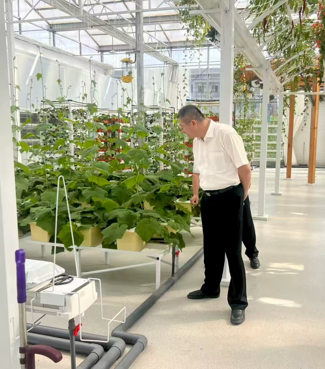 1757661991269000.jpg 微信图片_20250912152532_339_11.jpg